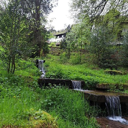 Apartamento Wohn-Eitel Sonnenblick Bad Wildbad Exterior foto