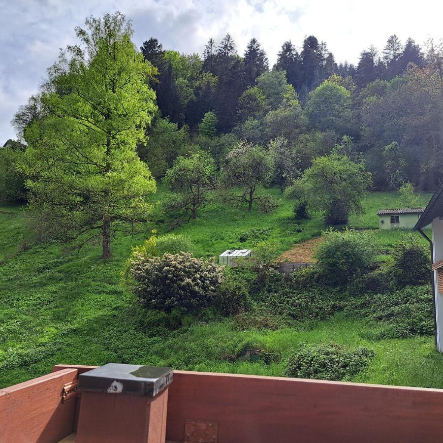 Apartamento Wohn-Eitel Sonnenblick Bad Wildbad Exterior foto